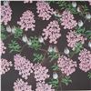 Image 3 : Wei Peng Shi Ming, Gouache on Paper, Bird Talk Flower Fragrance, Signed