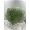 Image 3 : 10.5 x 8.5 INCH LARGE GREEN FLUORITE SPECIMEN COLLECTOR PIECE