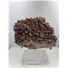 Image 1 : 10 X 8 INCH  5 KG DOG THOOT CHOCOLATE CALICTE SPECIMEN