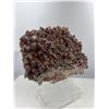 Image 2 : 10 X 8 INCH  5 KG DOG THOOT CHOCOLATE CALICTE SPECIMEN