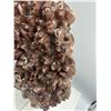 Image 7 : 10 X 8 INCH  5 KG DOG THOOT CHOCOLATE CALICTE SPECIMEN