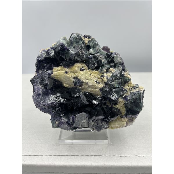 5 X 7 1/2 INCH RARE PURPLE AND GREEN FLUORITE SPECIMEN ON STAND