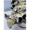 Image 5 : 8 X 8 INCH BLACK CRYSTAL WITH YELLOW CALCITE QUARTZ  SPECIMEN ON  STAND COLLECTOR PIECE