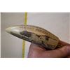 Image 3 : Scrimshaw Shoehorn