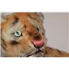 Image 3 : Vintage Steiff Tiger