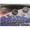 Image 7 : 2000 Canada Millennium Royal Canadian Mint Coin Set 25-cents Set with box and box sleeve RARE Winter