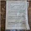 Image 2 : Dennis the menace and Cinderella musical notes