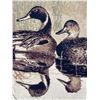 Image 2 : The Philip Crow Collection Ducks In A Pond Themed Rug