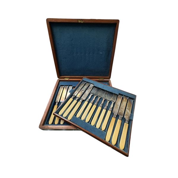 Vintage French Ivory Handled Cutlery Set In Original Case