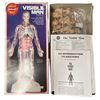 Image 2 : Vintage Skilcraft Visible Man Anatomy Kit