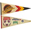 Image 8 : Large Collection Of Pennants NHL, NASL, NFL and MLB
