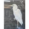 Image 2 : Vintage Gerrard F. Smith Crane Framed Print
