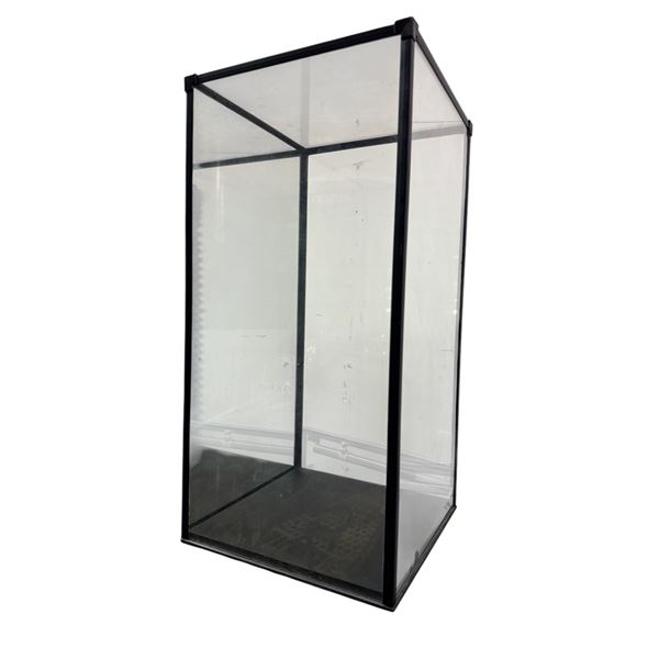 Museum Display Case Mirrored back