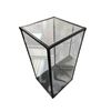 Image 2 : Museum Display Case Mirrored back