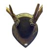 Image 2 : 8 Point Deer Antler On Plaque