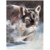 Image 2 : 1993 Cougar In Winter Scene Artist Signed Wiebe L.E.P. 41/425