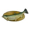Image 1 : Vintage Taxidermy Salmon on Plaque (Visible Damaged on skin)