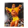 Image 1 : Hulk Hogan Autographed Picture With COA