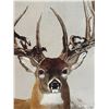 Image 2 : Framed Print of Buck in Hunting Season