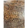 Image 2 : Vintage Snake Skin File Holder