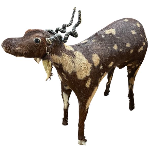 Vintage Taxidermy Folk Art Unique Goat Fur