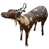 Image 1 : Vintage Taxidermy Folk Art Unique Goat Fur