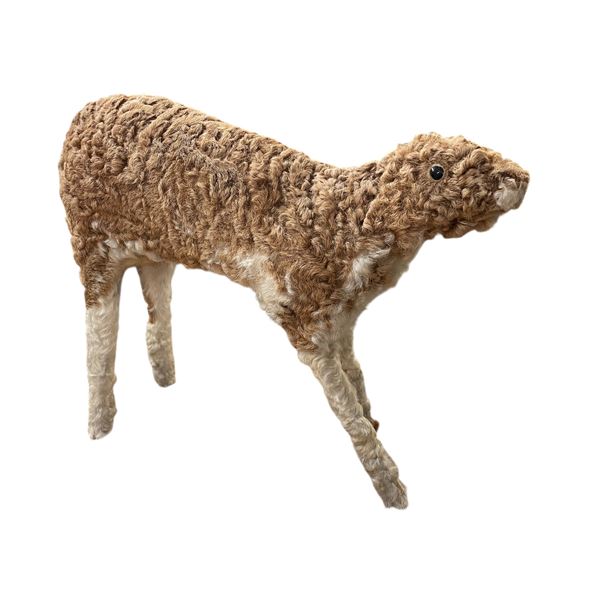 Vintage Taxidermy Quirky Animal Art In Real Fur