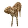Image 2 : Vintage Taxidermy Quirky Animal Art In Real Fur