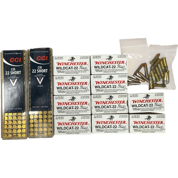 22 Ammunition 200 Rounds of 22 Short and 500+ Rounds of 22 Long