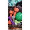 Image 2 : BASKET OF WEIGHTS AND KETTLE BALL
