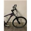 Image 3 : GREY SCHWINN BIKE