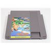 Image 2 : NINTENDO ADVENTURE ISLAND 3 GAME