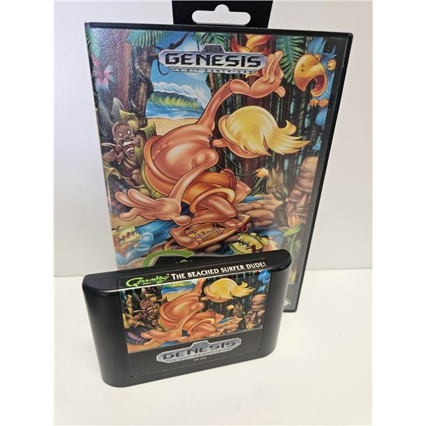 SEGA GENISIS GREENDOG: THE BEACHES SURFER DUDE!
