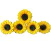 Image 1 : IT SUNFLOWER FROM THE NEIBOLT HOUSE YARD SCREEN USED C