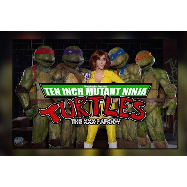 TEENAGE MUTANT NINJA TURTLE ALL 4 COMPLETE COSTUMES TMNT SUPER HERO