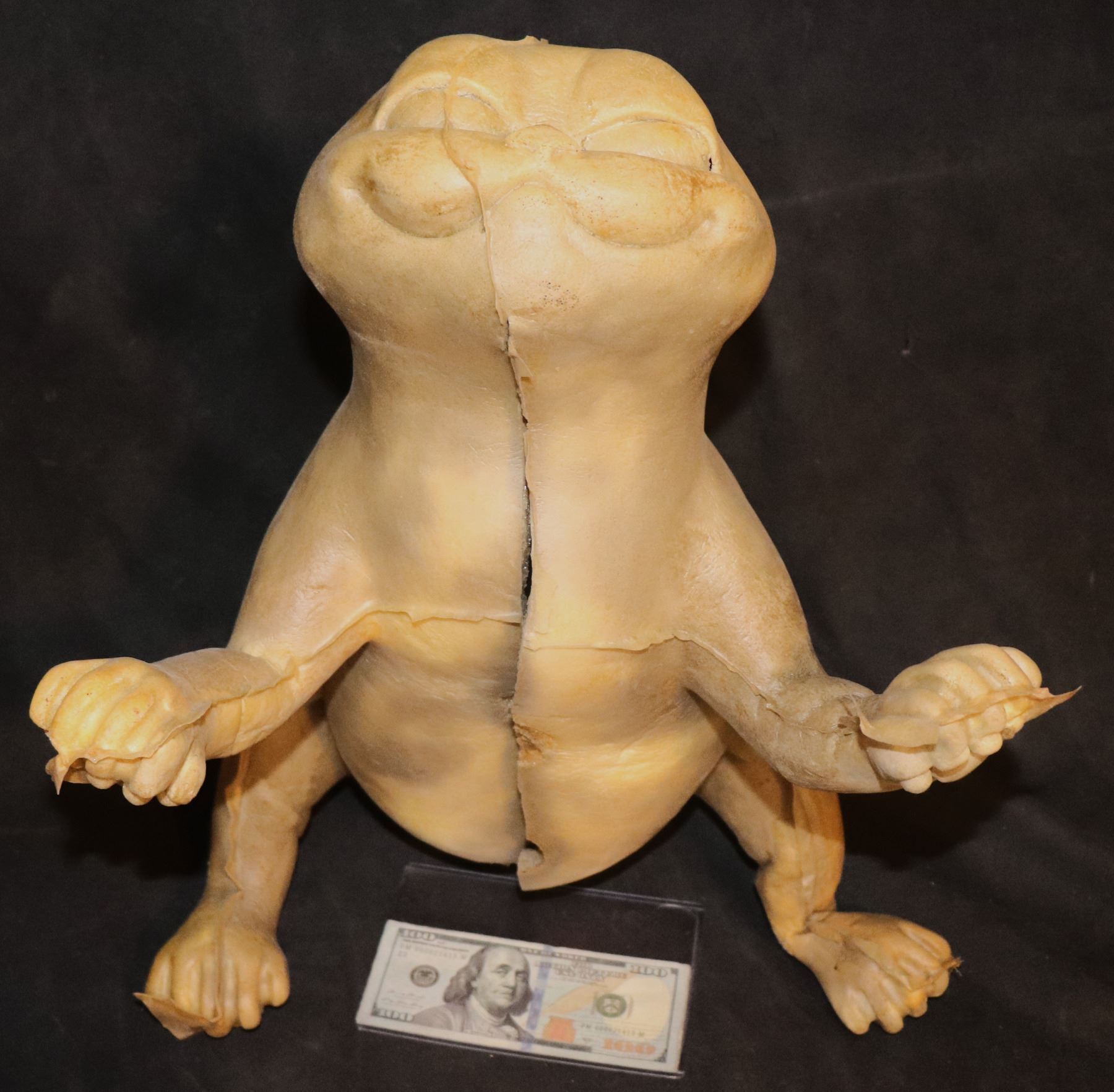 GARFIELD THE MOVIE 2004 COMPLETE PRODUCTION BODY TRIMMED