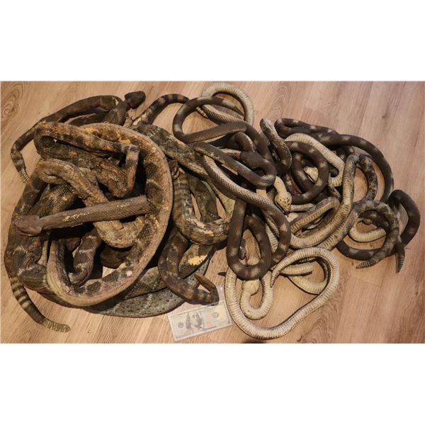 NO RESERVE SNAKES ON A PLANE? RATTLESNAKE PROPS HUGE LOT