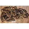 Image 1 : NO RESERVE SNAKES ON A PLANE? RATTLESNAKE PROPS HUGE LOT