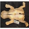 Image 4 : GARFIELD THE MOVIE 2004 COMPLETE PRODUCTION BODY TRIMMED