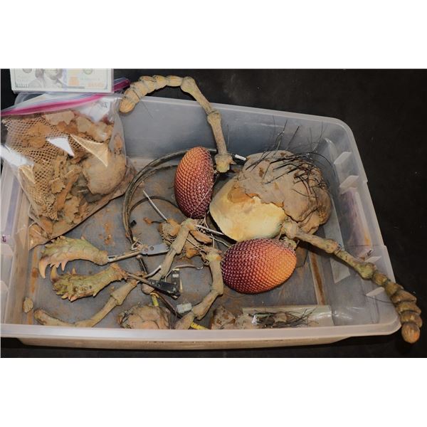 GOOSEBUMPS GHOSTS OF FEAR STREET ANIMATRONIC ANT INSECT HEAD