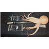 Image 1 : UNKNOWN ANIMATRONIC OCTOPUS PUPPET WITH ALL TRIGGERS INTACT