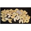 Image 1 : NO RESERVE FORTUNE COOKIES LOT OF OVERSIZE RESIN AND FOAM