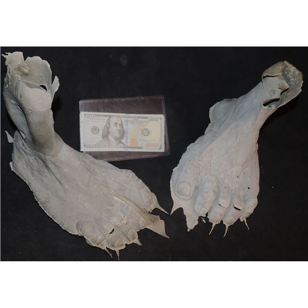NO RESERVE MONSTER DEMON CREATURE ALIEN LATEX PAIR OF FEET A