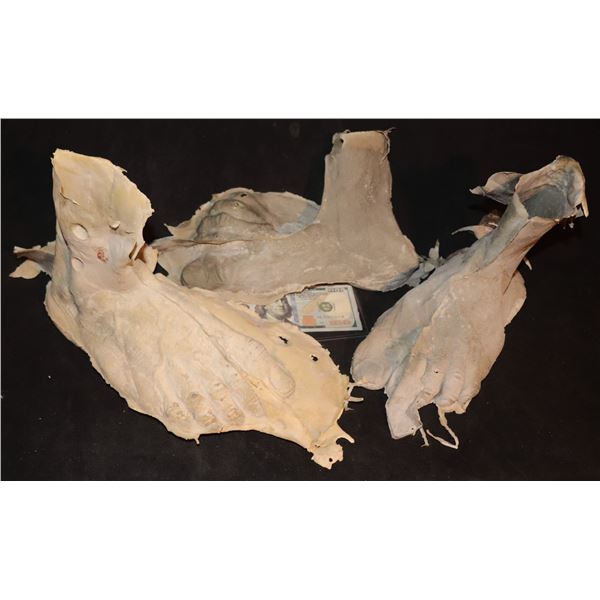 NO RESERVE MONSTER DEMON CREATURE ALIEN LATEX PAIR OF FEET LOT OF 3