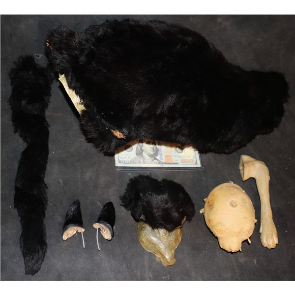 SABRINA THE TEENAGE WITCH SALEM SCREEN USED CAT PROP