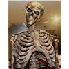 Image 6 : SCARY MOVIE 2 SKELETON PUPPET SCREEN MATCHED ANIMATRONIC SCREAMING EVIL DEAD ARMY OF DARKNESS PARODY