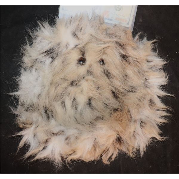 NO RESERVE STAR TREK DEEP SPACE NINE TRIALS AND TRIBBLE-ATIONS PROTOTYPE TRIBBLE