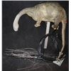 Image 1 : LAND OF THE LOST 1991 BRONTOSAURUS ANIMATRONIC PUPPET A
