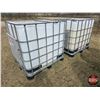 Image 2 : Plastic Poly Totes (2) (Pallett Base)