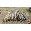 Image 1 : Variety (Bundle of 65+) Pressure Treated 6ft Fence Posts (3" & 4")